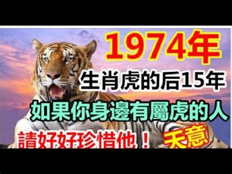 1974虎五行